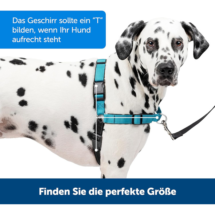PetSafe Easy Walk Deluxe - шлейка для собак, нейлонова, чорна, розмір M (1 шт.)