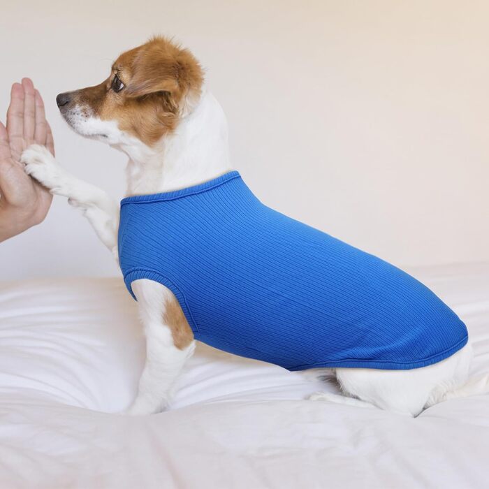 Пуловер для собак великих порід Hjumarayan - сонцезахисний одяг для собак, футболка для Лабрадора (зелений, військовий зелений, сапфіровий)