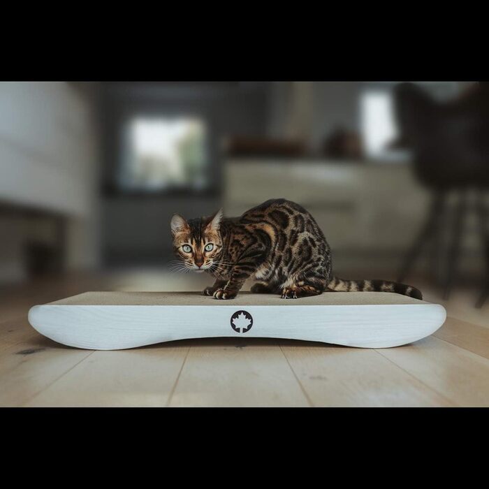 Кігтеточка CanadianCat Comet XL 75x30x8 см, біла, з котячою м'ятою, картонна, для котів