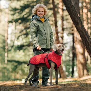 Зимовий теплий одяг для собак - Вітростійка жилетка-світловідбивач для собак, теплий зимовий одяг для собак | Для активного відпочинку: прогулянки, пікніки, кемпінг, катання на лижах, міські прогулянки