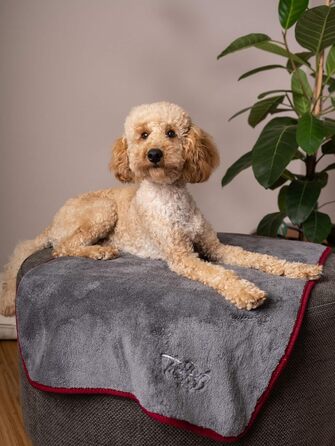 TrendPet Рушник для собак та котів, сушильна ковдра, 110x80 см