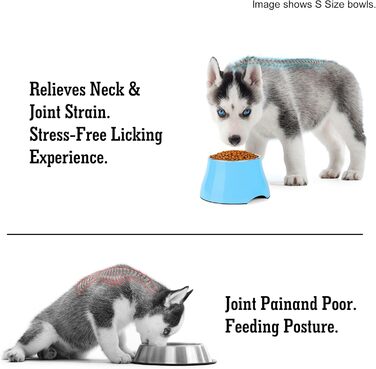 Миска для собак Petvillage, конусоподібна, неслизька, з нержавіючою сталею, піднята миска для середніх собак, спанієлів з довгими вухами, велика місткість, розмір L, 3 чашки, (Medium(2 чашки), аква блакитний)