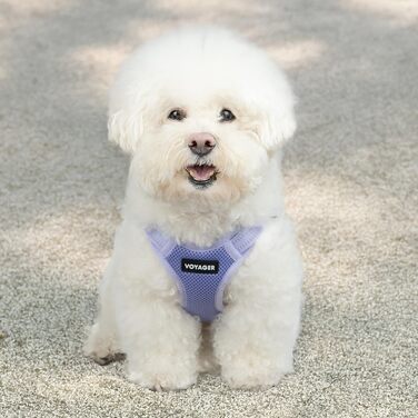 Шлейка для собак Voyager регульована з світловідбиваючими смугами Best Pet Supplies - міцна жилетка для повного тіла без натягу з кільцем для повідка D-подібної форми, дихаюча, Рожева, розмір XS (Обхват грудей: 13 - 16')