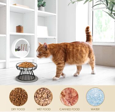 Підвищені годівниці для котів 2 шт. з металевим стійкою, силіконовою підкладкою, керамічні миски для котів та маленьких собак