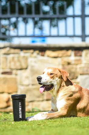 Dexas MudBuster: портативний очищувач лап для собак, чорний, розмір M