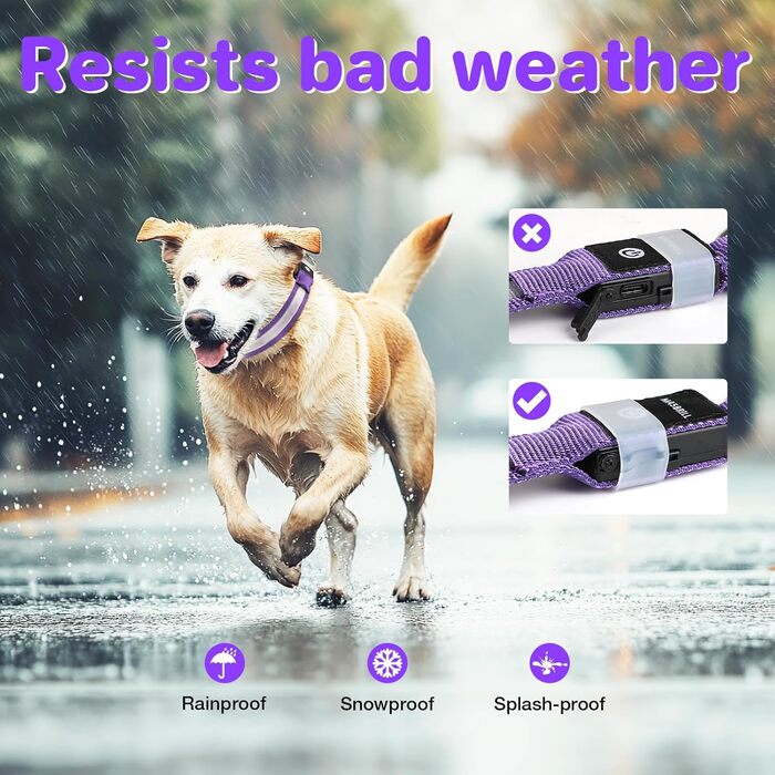 Світловідбиваючий нашийник для собак ASBRILL з USB-C, LED нашийник для собак, регульований, водонепроникний, 3 режими світіння, для малих, середніх та великих собак (L, фіолетовий)