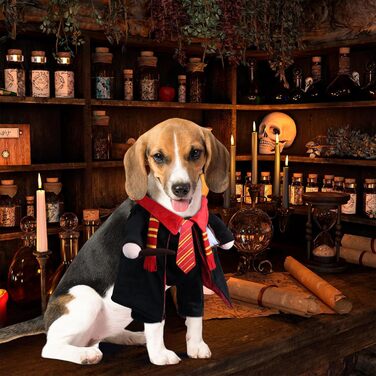 Костюм на Хелловін для собак DELIFUR - Чарівник, для котів, косплей, відпочинок, карнавал, маленькі та середні породи, великий розмір L, мультяшний