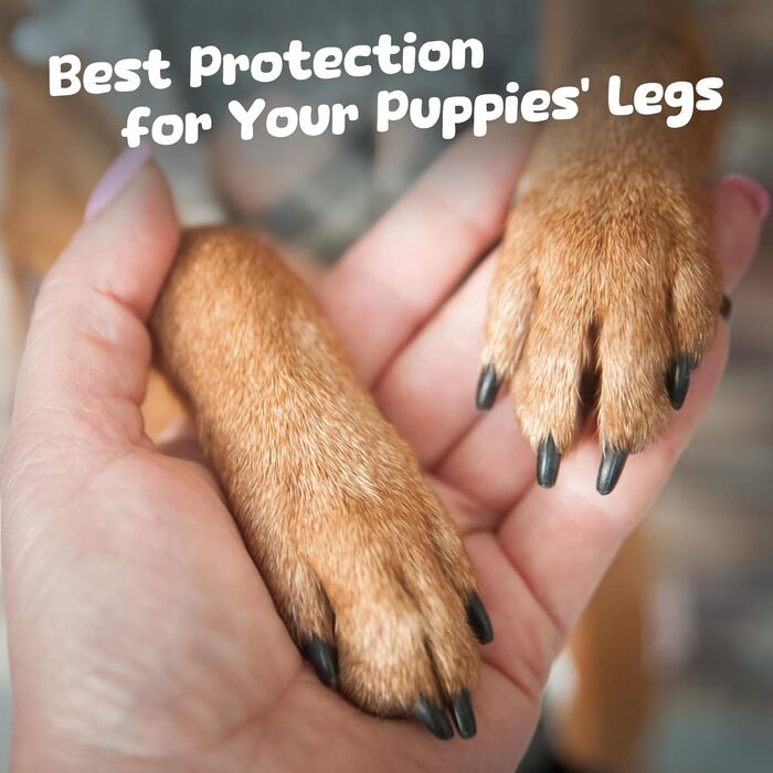 Клітка-манеж для собак і цуценят, 6-панельна, внутрішня, з дверцятами, біла (156 x 78 x 60 см)