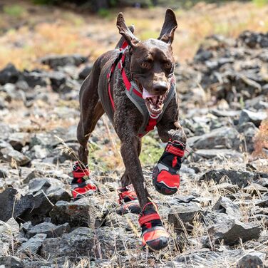 Взуття для собак Kurgo Blaze Cross - захист лап на всі сезони - водонепроникне, світловідбиваюче, неслизьке - 2 шт. - Сірий – S