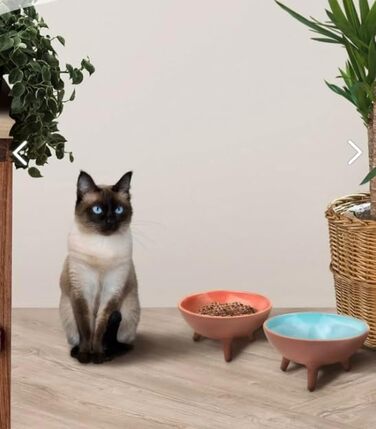 Керамічні миски для котів | Ручна робота, набір 2 шт. | Миски для корму та води, біло-сірі | з Каппадокії