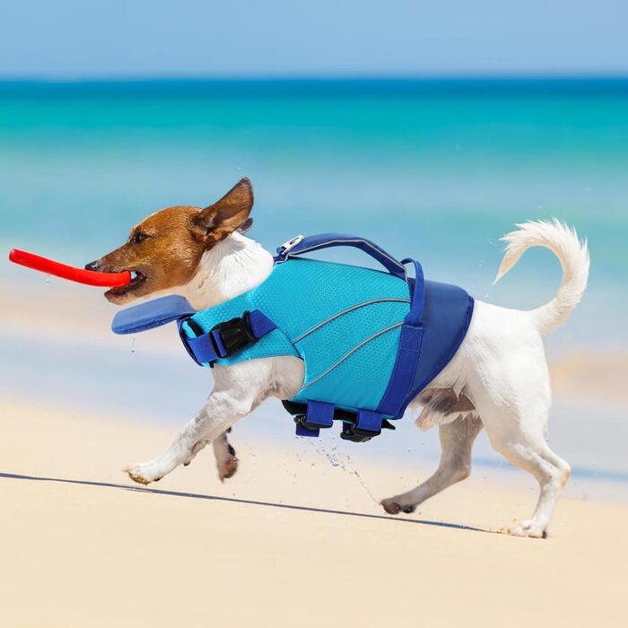 Жилет рятувальний для собак середнього розміру KONVINIT, XS-XXL, блакитний