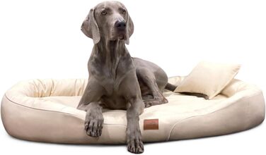 Ортопедичне ліжко для собак Tierlando® Tiffany Easy CLEAN з екошкіри – для великих собак (XL XXL) – гіпоалергенне з анти-волосяною поверхнею та Memory Foam – розмір: 115x90 см, колір: 05 Creme