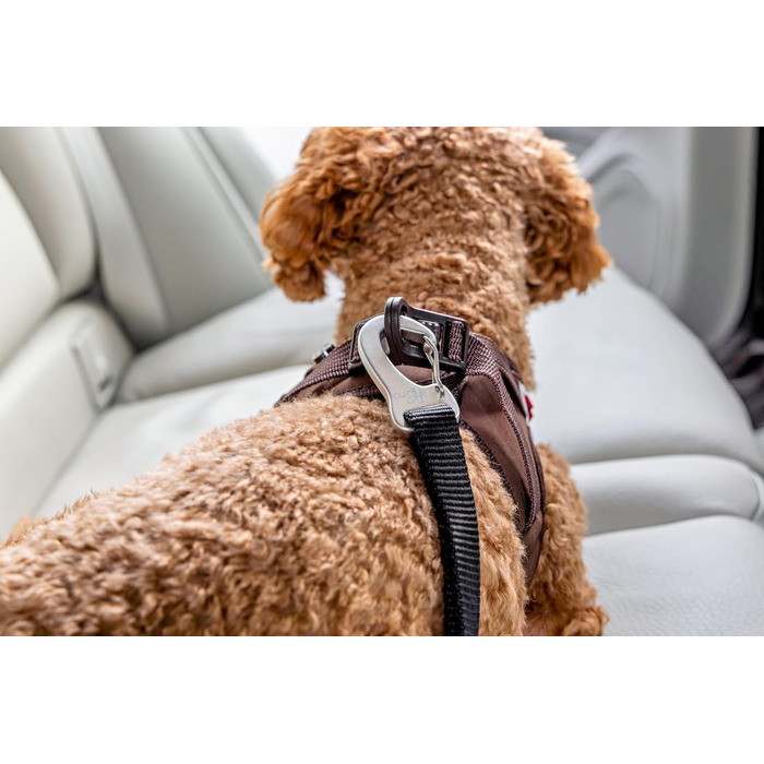 Ремінь безпеки для автомобіля V2 L Large