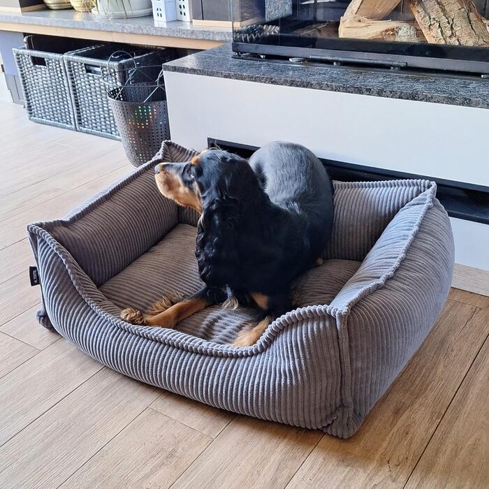4L Textil М'яке собаче ліжко з корду Hugo Premium-LINE, ортопедичне, для маленьких собак, з піною з пам'яті, знімний чохол, плюшеве (темно-сірий, 60x40 см)
