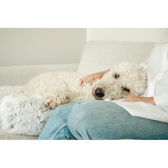 Водонепроникний і м'який лежак для собак TRIXIE, захищає диван, кутовий, 70x90 см, біло-чорний, знімний чохол, придатний для прання, 38045