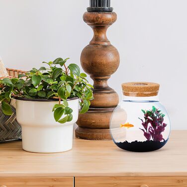 Скляна ваза-акваріум Balacoo для міні-ландшафту, тераріуму, рибок, з підсвічуванням, 14x13x13 см, біла