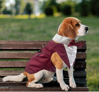 Костюм для собаки 