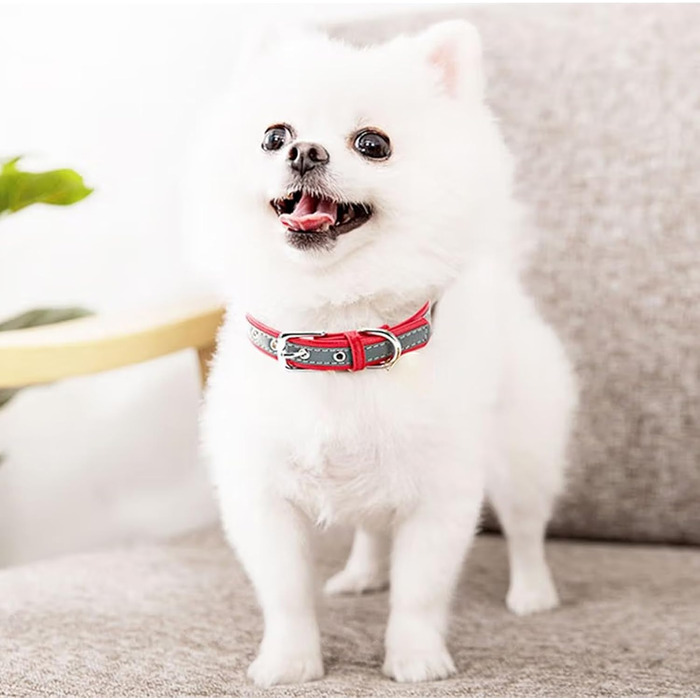 Yonsbox Персоналізоване світловідбиваче відбиваче для собак та котів – Легке, міцне мікрофіброве ошийник з гравіюванням, тихим ID-значком та світловідбиваючою строчкою безпеки – 6 розмірів (XS–XXL) Фіолетовий M: 29-38 см (підходить для 6-10 кг)