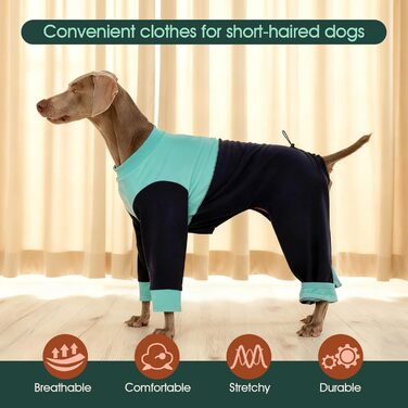 Теплий флісовий собачий светр Kuoer для маленьких собак, зимовий одяг, зелений (XS, синій)