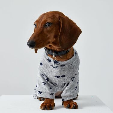 Комбінезон для собак Дакель, легкий, тонкий, теплий, з принтом, для цуценят, піжама сірого кольору L