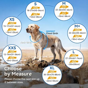 Теплий зимовий одяг для собак VIVAGLORY Frostfit: софтшелл з підкладкою з флісу, захист від снігу та холоду, світловідбиваючі елементи, сірий, XS (37-44см)