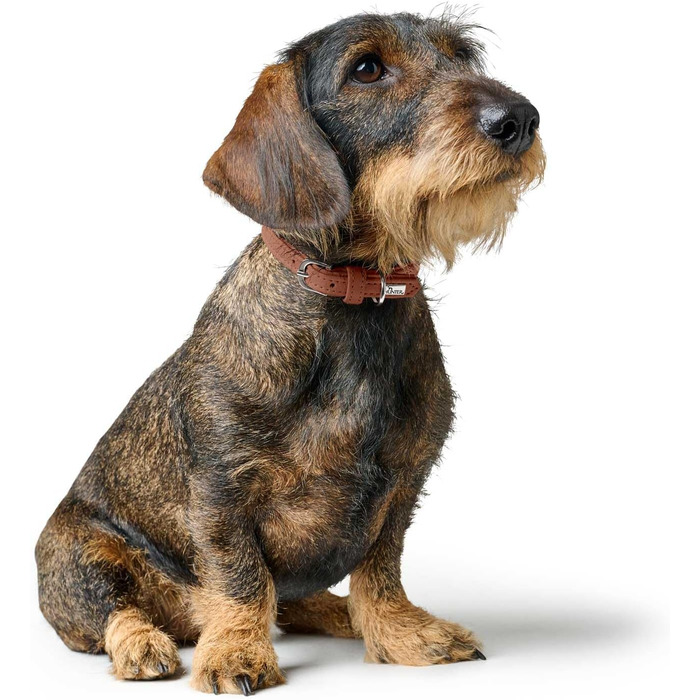 Нашийник для собак HUNTER SOHO MINI, колір: Cognac, шкіра, м'який, для маленьких собак та цуценят, Made in Germany, розмір 32