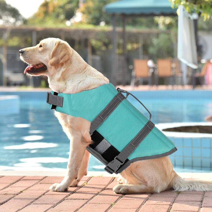 Жилет для плавання собак Doglay, світловідбиваючий, регульований, для малих, середніх та великих собак (M, Синій)