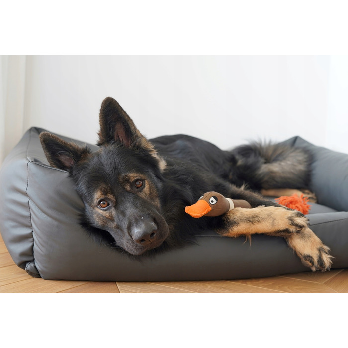 Текстильне ліжко для собак, сіре, 100 x 70 см, розмір 4L