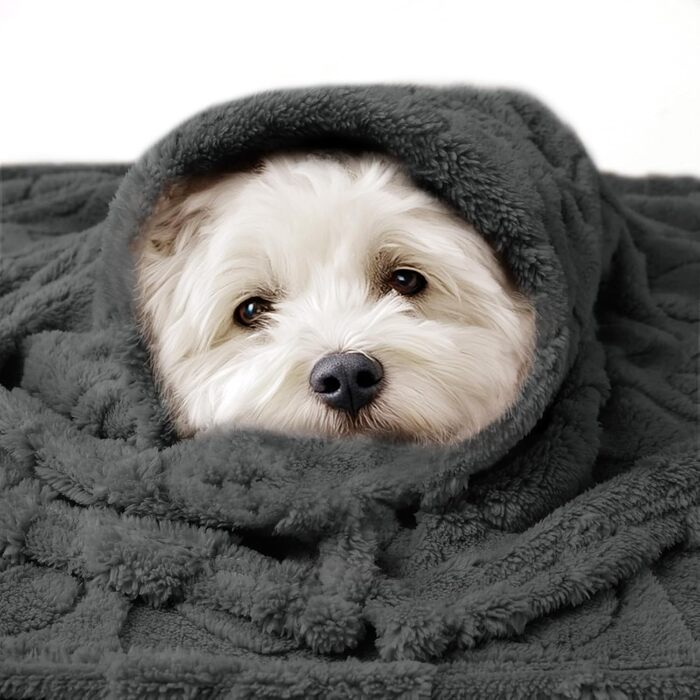 Килимок для собак та котів Luciphia, сірий, 100 x 145 см, прання допустиме