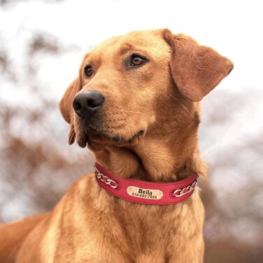 Didog нашийник для собак із натуральної шкіри, плетений, персоналізований, з гравіруванням, міцний, регульований, для середніх і великих порід, чорний або червоний, L/XXL