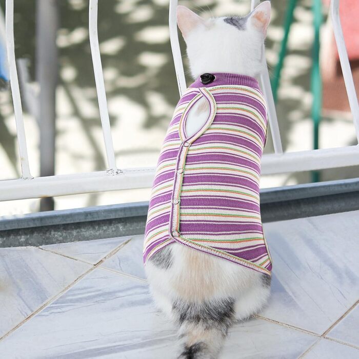 Одяг для котів після операції Citétoile: комбінезон для захисту животика, альтернатива E-обротню, розмір L, фіолетовий