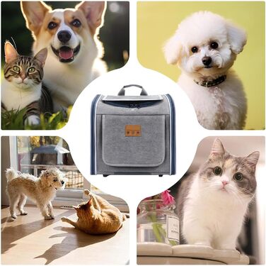 Корзина для собак Kixolazr на велосипед, портативна, складана, для прогулянок, безпечна, для подорожей, сімейна, також для котів