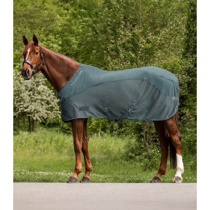 Флісова попона-рубашка Waldhausen Comfort для коней, 135 см, колір сосновий зелений