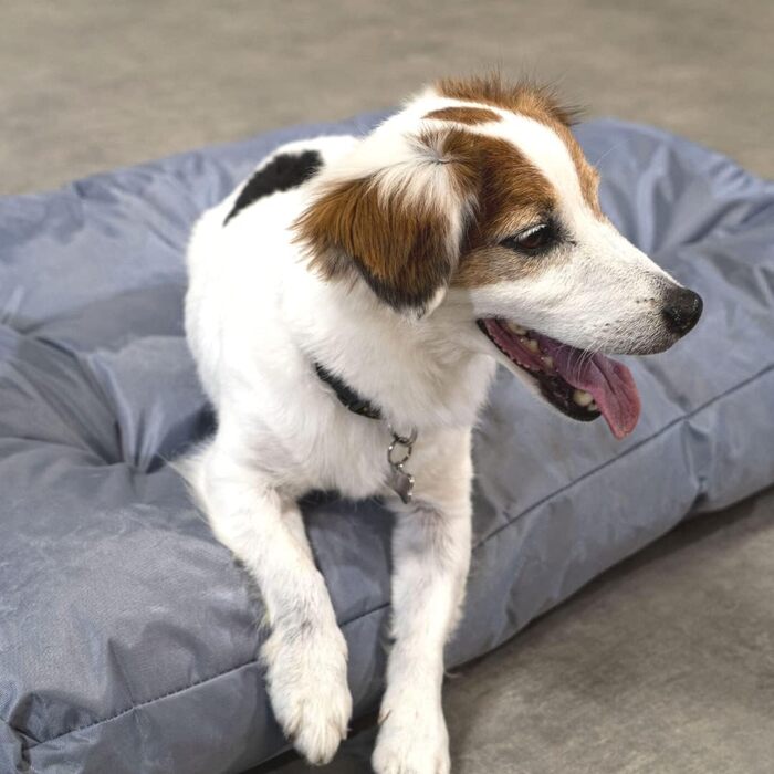 Ліжко для собак Bananair - м'яке та зручне, водовідштовхуючий матеріал, легко чистити. XXL подушка/корзина для собак, різні розміри/кольори (90 x 65 x 10 см, сірий)