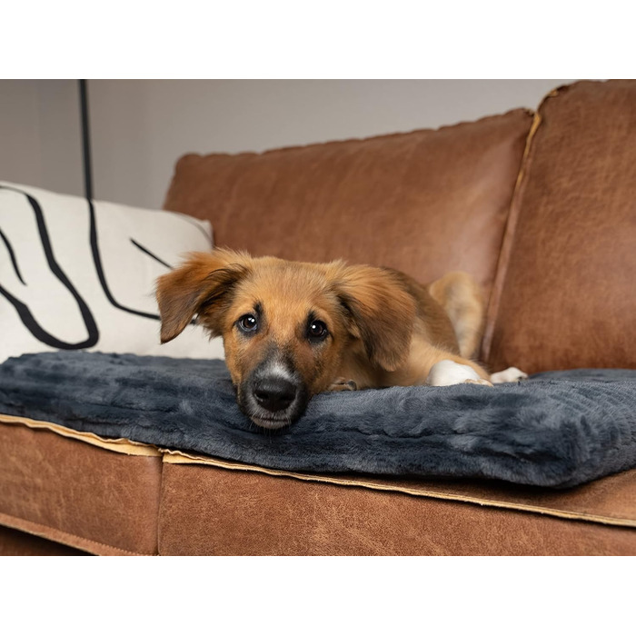 TrendPet Harmony: М'яка підстилка для собак та котів, 50x35 см, антрацит