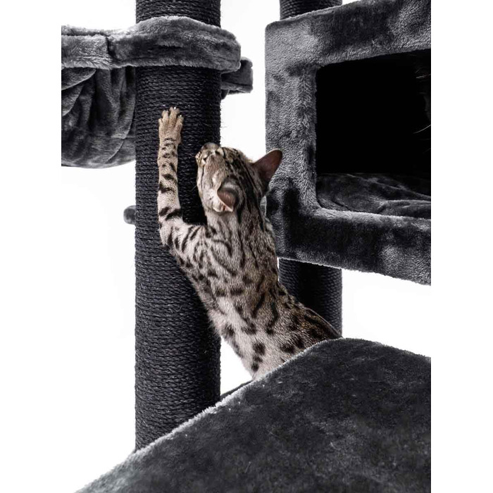 Дряпак для котів Petrebels Maine Coon, Estate, 170 см, XXL, чорний