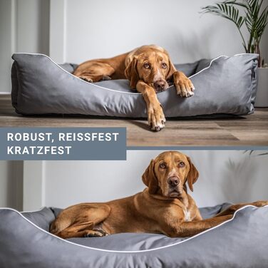 Танте Гільде лежанка для собак Нордерней – міцна, якісна, з вибором розмірів. Лежанка-кошик, лежанка-подушка (Чорний XL 80x60 см, ідеально для маленьких собак) L 80 x W 60 x H 20 см Чорний