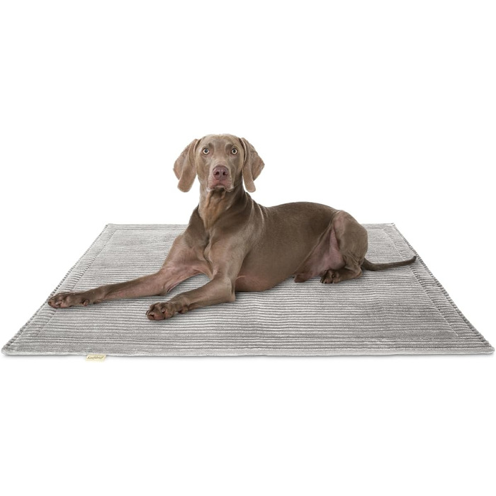 Лежанка для собак Knuffelwuff Timor, 80x60 см, світло-сіра - м'яка та зручна, легко миється