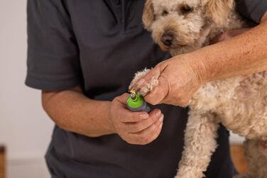 Електричний точило для насадок Wahl 2302-0050 - 2 розміри, 1 шт.