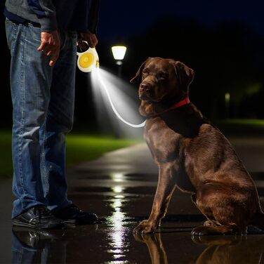 Висувна поводок для собак, 5м, міцний нейлоновий поводок з LED-підсвічуванням, безпечна заплутуванням, висувний поводок для собак маленьких та середніх порід вагою до 50кг