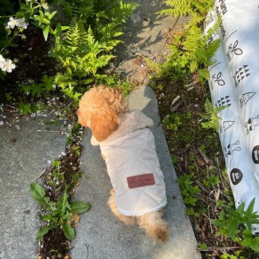 Зимовий одяг для собак: теплий водонепроникний зимовий одяг для собак з флісу, жилет для собак та котів (XXL, бежевий)