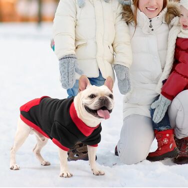 Світшот для маленьких собак Kooltail, з отвором для повідка, червоний, розмір XS