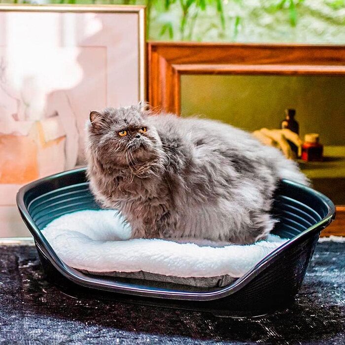 Ліжко для котів та собак Ferplast, з бавовняним вкладишем, 55 x 36 см, коричневе, Baumwolle L 200 x B 48 x H 3 см