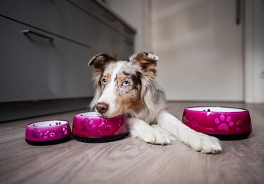 Миска для собак велика та маленька - годівниця/поїлка S/M/L з неслизьким дном (M 1010мл для середніх собак, рожева) M 1010мл (середні собаки) Рожева