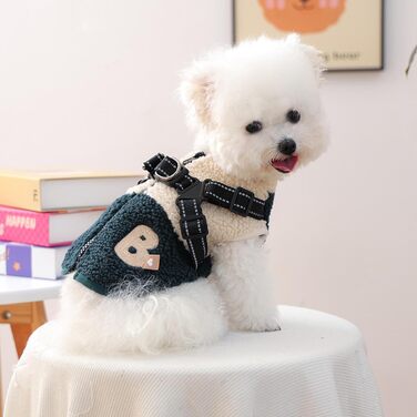 Водонепроникний теплий дощовик для собак з отвором для шлейки | З флісовою підкладкою | Для маленьких та середніх собак | Підходить для прогулянок, спорту та відпочинку на природі