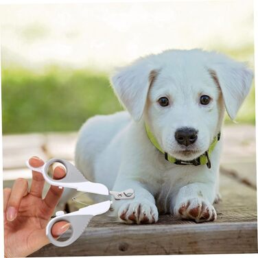 Ножиці для обрізання кігтів домашніх тварин BESPORTBLE - 2 шт. для собак та котів. Якісні, з нержавіючої сталі, для точної гігієни кігтів.