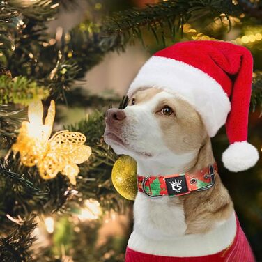 Тактичне нашийник для собак TSPRO, міцний нашийник з металевою застібкою, 3.8 см, регульований, для середніх та великих собак (зелений M), розмір M-H (регульований 40-48 см), зелений (M-H розмір (регульований 40-48 см), червоний)