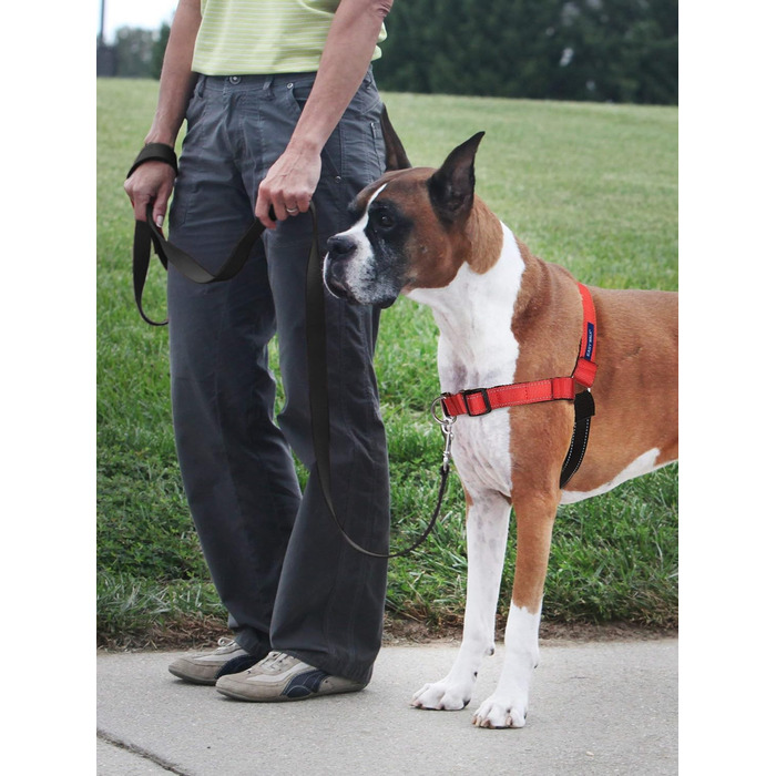 Шлея для собак PetSafe Deluxe Easy Walk, преміум якість