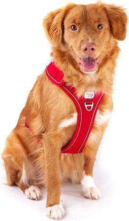 Шлейка для собак Belka, регульована, чорна, XL