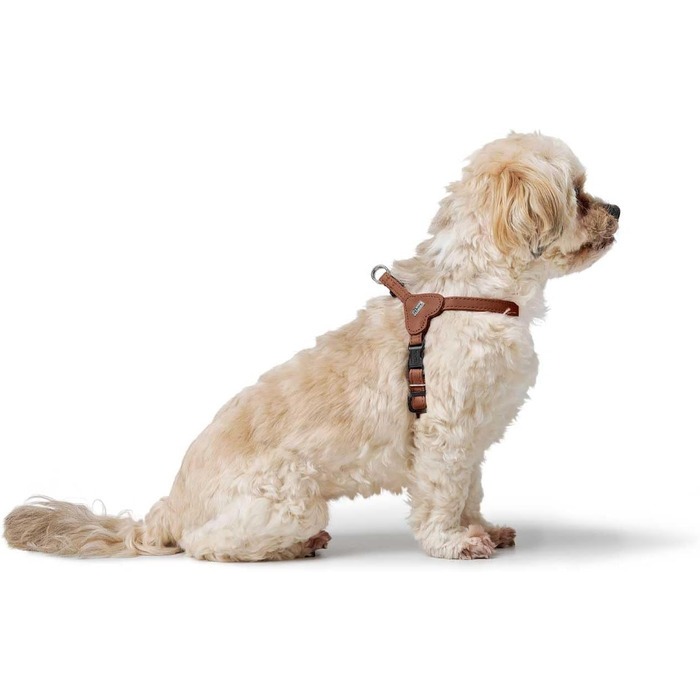 Нашийник для собак HUNTER SOHO MINI, колір: коричневий (cognac), з натуральної шкіри, м'який, не травмує шерсть, легкий, для маленьких собак та цуценят, Made in Germany, розмір XXS-XS/2